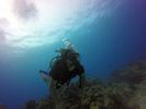 Hawaii Scuba divng 40