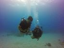 Hawaii Scuba divng 44