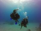 Hawaii Scuba divng 45