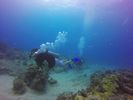 Hawaii Scuba divng 46