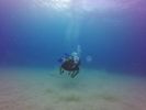 Hawaii Scuba divng 49