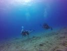 Hawaii Scuba divng 51