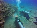 Hawaii Scuba divng 51