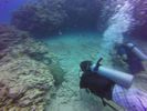 Hawaii Scuba divng 57