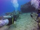 Hawaii Scuba divng 58