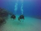 Hawaii Scuba divng 62