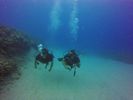 Hawaii Scuba divng 63