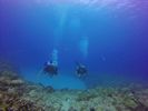 Hawaii Scuba divng 66