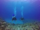 Hawaii Scuba divng 67