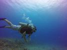 Hawaii Scuba divng 71