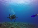 Hawaii Scuba divng 72