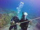 Hawaii Scuba divng 78