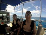 Hawaii Scuba divng 84