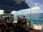 Hawaii Scuba divng 85