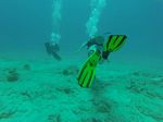 Hawaii Scuba divng 99