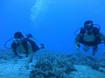 Hawaii Scuba divng 10