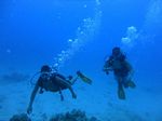 Hawaii Scuba divng 11