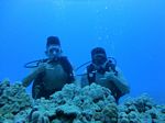 Hawaii Scuba divng 12