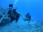 Hawaii Scuba divng 14