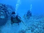 Hawaii Scuba divng 15