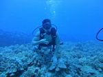 Hawaii Scuba divng 17