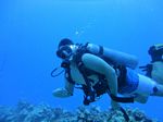 Hawaii Scuba divng 18