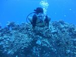 Hawaii Scuba divng 19