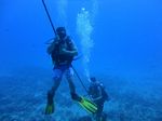 Hawaii Scuba divng 23