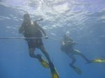 Hawaii Scuba divng 25