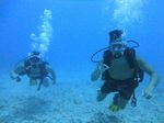 Hawaii Scuba divng 28