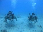 Hawaii Scuba divng 29