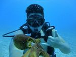 Hawaii Scuba divng 34