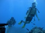 Hawaii Scuba divng 39