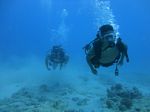 Hawaii Scuba divng 40