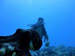 Hawaii Scuba divng 52