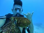 Hawaii Scuba divng 62