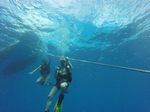 Hawaii Scuba divng 66