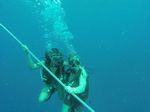 Hawaii Scuba divng 67
