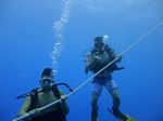 Hawaii Scuba divng 06