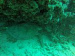 Hawaii Scuba divng 78