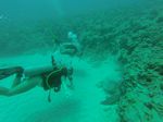 Hawaii Scuba divng 81