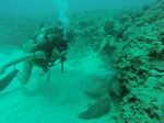 Hawaii Scuba divng 83