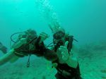 Hawaii Scuba divng 87