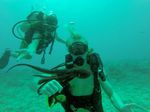 Hawaii Scuba divng 91