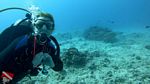 Honolulu Scuba 100