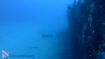 Honolulu Scuba 01