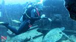 Honolulu Scuba 80