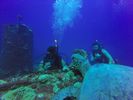 Hawaii Scuba divng 21