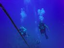 Hawaii Scuba divng 31