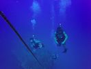 Hawaii Scuba divng 32